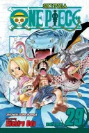 One Piece, Bd. 29, 29 - One Piece, Vol. 29, 29