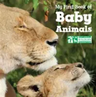 Mein erstes Buch über Babytiere - My First Book of Baby Animals