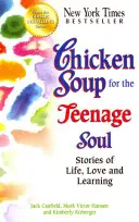 Hühnersuppe für die Seele von Teenagern: Geschichten vom Leben, Lieben und Lernen - Chicken Soup for the Teenage Soul: Stories of Life, Love and Learning