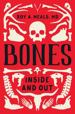 Knochen: Innen und außen - Bones: Inside and Out