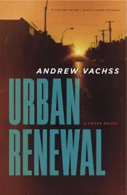 Urbane Erneuerung: Ein Cross-Roman - Urban Renewal: A Cross Novel