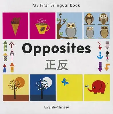 Mein erstes zweisprachiges Buch-Opposites (Englisch-Chinesisch) - My First Bilingual Book-Opposites (English-Chinese)