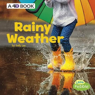 Regnerisches Wetter: Ein 4D-Buch - Rainy Weather: A 4D Book