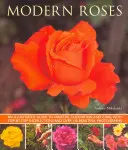 Moderne Rosen: Ein illustrierter Leitfaden zu Sorten, Anbau und Pflege, mit Schritt-für-Schritt-Anleitungen und über 150 schönen Fotos - Modern Roses: An Illustrated Guide to Varieties, Cultivation and Care, with Step-By-Step Instructions and Over 150 Beautiful Photogr