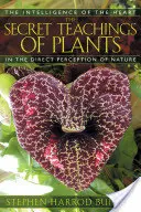 Die geheimen Lehren der Pflanzen: Die Intelligenz des Herzens in der direkten Wahrnehmung der Natur - The Secret Teachings of Plants: The Intelligence of the Heart in the Direct Perception of Nature