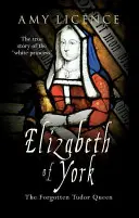 Elisabeth von York: Die vergessene Tudor-Königin - Elizabeth of York: The Forgotten Tudor Queen