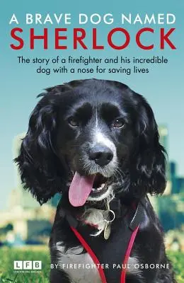 Ein tapferer Hund namens Sherlock - A Brave Dog Named Sherlock