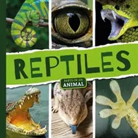 Reptilien - Reptiles