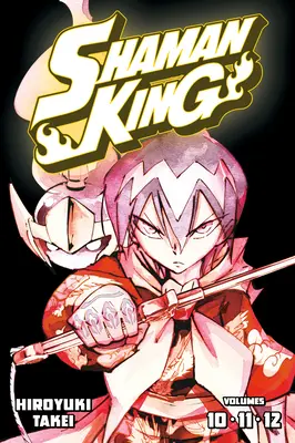 Schamanenkönig Omnibus 4 (Bd. 10-12) - Shaman King Omnibus 4 (Vol. 10-12)