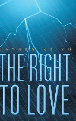 Das Recht zu lieben - The Right to Love