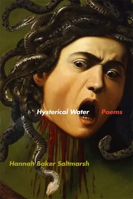 Hysterisches Wasser: Gedichte - Hysterical Water: Poems