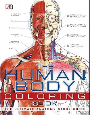 Das Malbuch zum menschlichen Körper: Das ultimative Anatomie-Lernbuch - The Human Body Coloring Book: The Ultimate Anatomy Study Guide