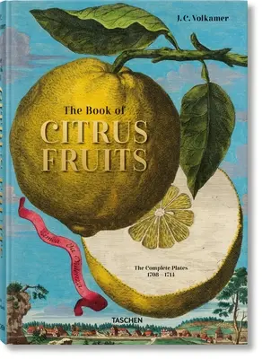 J. C. Volkamer. Das Buch der Zitrusfrüchte - J. C. Volkamer. the Book of Citrus Fruits