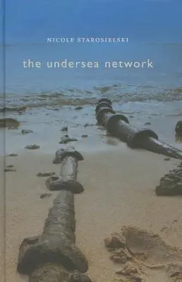 Unterseeisches Netzwerk - Undersea Network