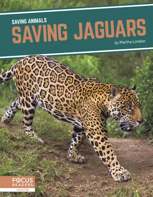 Rettende Jaguare - Saving Jaguars