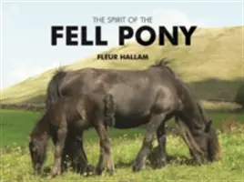 Der Geist des Fellponys - Spirit of the Fell Pony