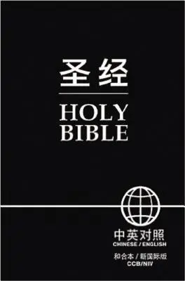 Chinesisch-Englische Bibel-FL/NIV - Chinese English Bible-FL/NIV