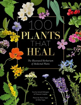 100 Pflanzen, die heilen: Das illustrierte Herbarium der Arzneipflanzen - 100 Plants That Heal: The Illustrated Herbarium of Medicinal Plants