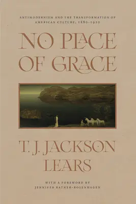 Kein Ort der Gnade: Antimodernismus und die Transformation der amerikanischen Kultur, 1880-1920 - No Place of Grace: Antimodernism and the Transformation of American Culture, 1880-1920