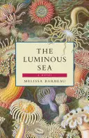 Das leuchtende Meer - The Luminous Sea