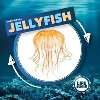 Qualle - Jellyfish