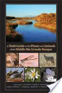 Ein Feldführer zu den Pflanzen und Tieren des mittleren Rio Grande Bosque - A Field Guide to the Plants and Animals of the Middle Rio Grande Bosque