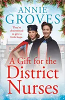 Ein Geschenk für die Gemeindeschwestern (Die Gemeindeschwestern, Buch 4) - A Gift for the District Nurses (the District Nurses, Book 4)