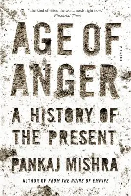 Zeitalter des Zorns: Eine Geschichte der Gegenwart - Age of Anger: A History of the Present