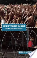 Bis meine Freiheit gekommen ist: Die neue Intifada in Kaschmir - Until My Freedom Has Come: The New Intifada in Kashmir