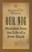 Unser Nig: Sketches from the Life of a Free Black - Our Nig: Sketches from the Life of a Free Black