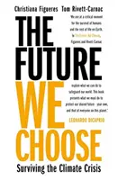 Die Zukunft, die wir wählen - 'Jeder sollte dieses Buch lesen' MATT HAIG - The Future We Choose - 'Everyone should read this book' MATT HAIG