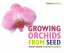 Wachsende Orchideen aus Saatgut - Growing Orchids from Seed