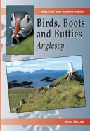 Vögel, Stiefel und Butties: Anglesey - Birds, Boots and Butties: Anglesey