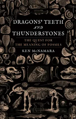 Drachenzähne und Donnersteine: Die Suche nach der Bedeutung von Fossilien - Dragons' Teeth and Thunderstones: The Quest for the Meaning of Fossils