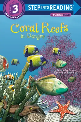 Gefährdete Korallenriffe - Coral Reefs in Danger