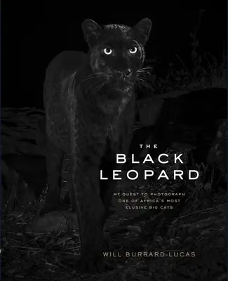 Der Schwarze Leopard: Meine Suche nach einem Foto von Afrikas seltenster Großkatze - The Black Leopard: My Quest to Photograph One of Africa's Most Elusive Big Cats