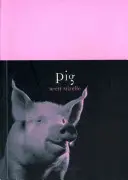 Schwein - Pig