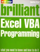 Brillante Excel-VBA-Programmierung - Brilliant Excel VBA Programming