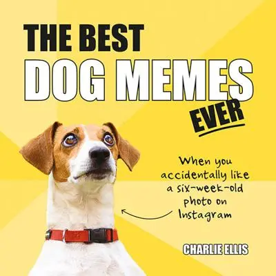 Die besten Hunde-Memes aller Zeiten: Die witzigsten Memes, erzählt von Hunden - The Best Dog Memes Ever: The Funniest Relatable Memes as Told by Dogs