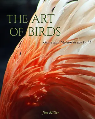 Die Kunst der Vögel: Anmut und Bewegung in der Wildnis - The Art of Birds: Grace and Motion in the Wild