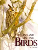 Zeichnen und Malen von Vögeln - Drawing and Painting Birds