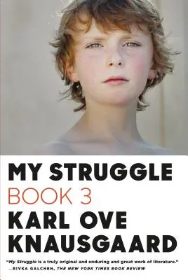 Mein Kampf, Buch 3 - My Struggle, Book 3