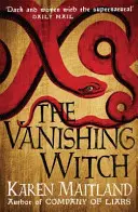 Die verschwundene Hexe - Eine düstere historische Geschichte über Hexerei und Rebellion - Vanishing Witch - A dark historical tale of witchcraft and rebellion