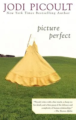 Perfektes Bild - Picture Perfect