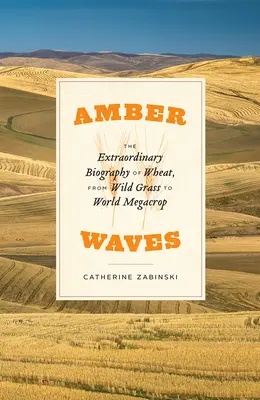 Bernsteinfarbene Wellen: Die außergewöhnliche Biographie des Weizens, vom Wildgras zur weltweiten Megakultur - Amber Waves: The Extraordinary Biography of Wheat, from Wild Grass to World Megacrop