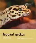 Leopardgecko - Leopard Gecko