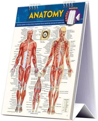 Anatomy Easel Book: Ein Nachschlagewerk für das Schnellstudium - Anatomy Easel Book: A Quickstudy Reference Tool