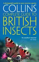 Britische Insekten - Ein fotografischer Leitfaden zu allen gängigen Arten - British Insects - A Photographic Guide to Every Common Species