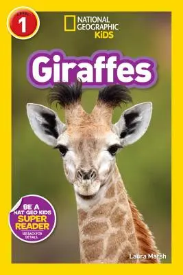 Giraffen - Giraffes