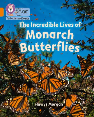 Unglaubliche Leben der Monarchfalter - Band 06/Orange - Incredible Lives of Monarch Butterflies - Band 06/Orange